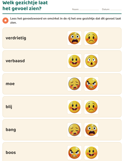 Voorbeeld van het Gevoelens-werkblad voor kleuterklas