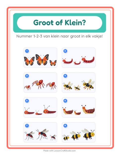Groot en klein – Insecten en beestjes