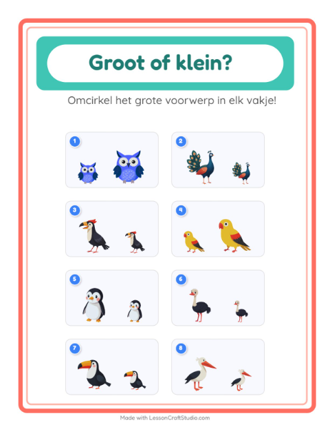 groot-klein-vind-de-grote-vogels