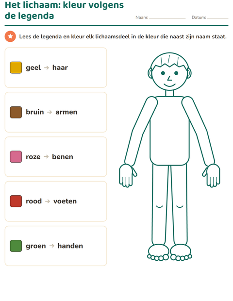 Het lichaam: kleuren volgens de legenda