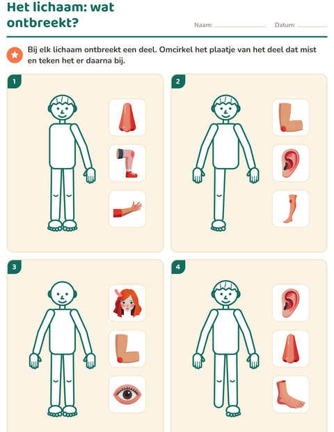 Voorbeeld van het Het lichaam-werkblad voor kleuterklas
