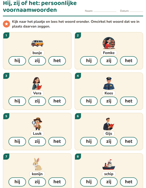 Voorbeeld van het Hij, zij of het-werkblad voor groep 3