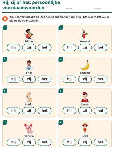 Voorbeeld van het Hij, zij of het-werkblad voor groep 3