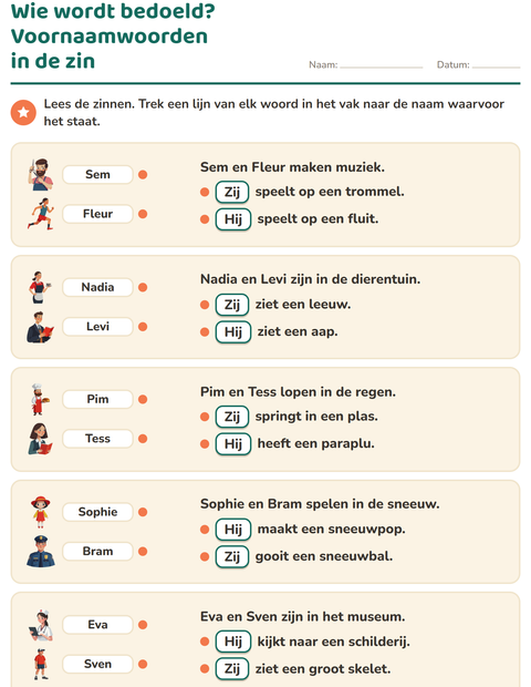 Voorbeeld van het Hij, zij of het-werkblad voor groep 4