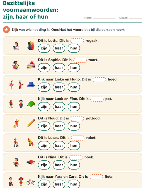 Voorbeeld van het Hij, zij of het-werkblad voor groep 4