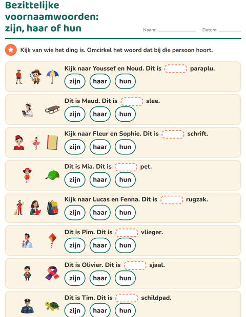 Voorbeeld van het Hij, zij of het-werkblad voor groep 4