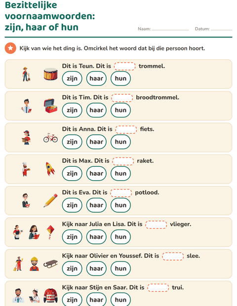 Voorbeeld van het Hij, zij of het-werkblad voor groep 4