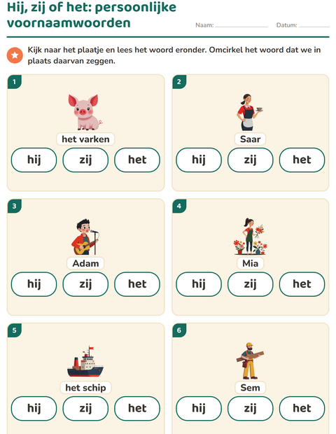 Voorbeeld van het Hij, zij of het-werkblad voor groep 3