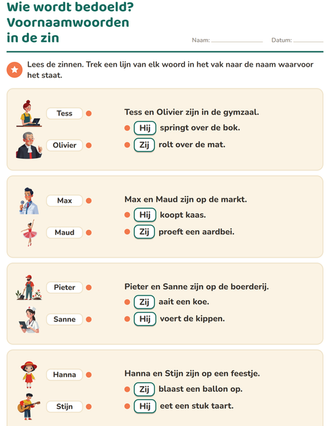 Voorbeeld van het Hij, zij of het-werkblad voor groep 4