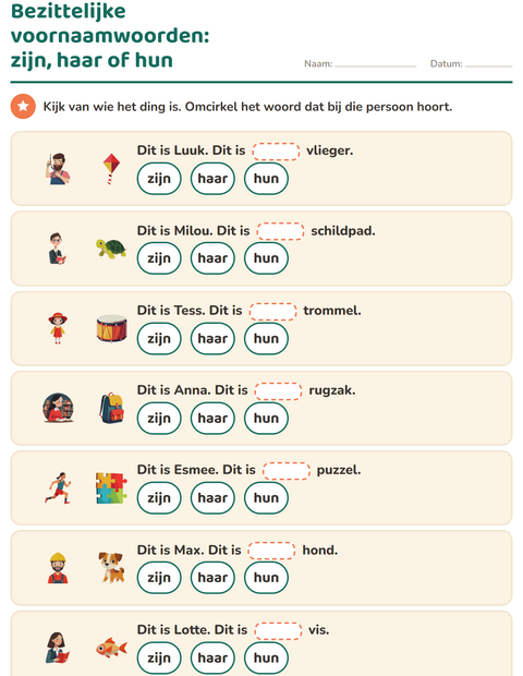 Voorbeeld van het Hij, zij of het-werkblad voor groep 4