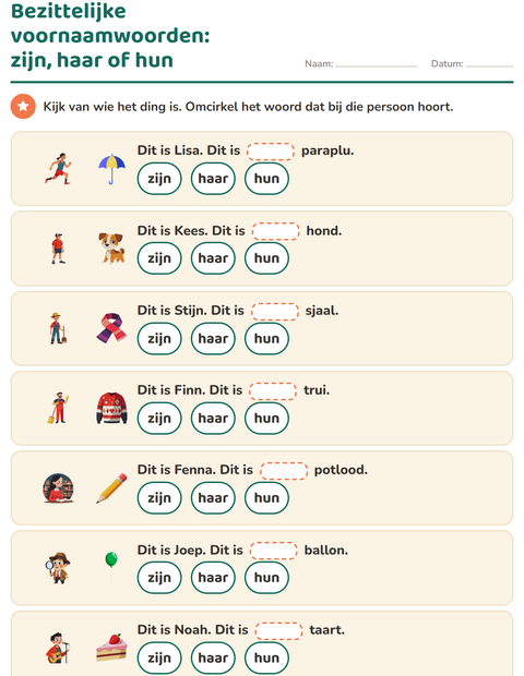 Voorbeeld van het Hij, zij of het-werkblad voor groep 4