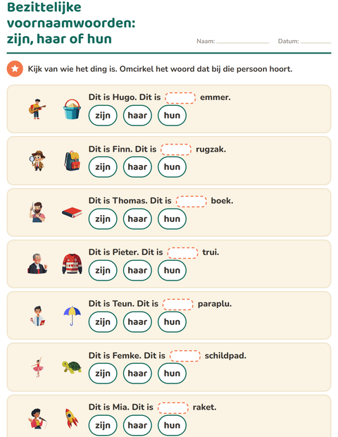 Voorbeeld van het Hij, zij of het-werkblad voor groep 4