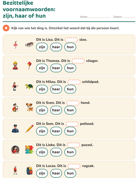 Voorbeeld van het Hij, zij of het-werkblad voor groep 4
