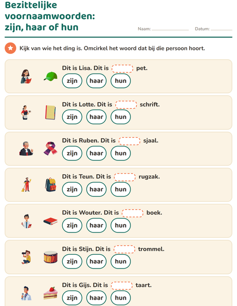 Voorbeeld van het Hij, zij of het-werkblad voor groep 4