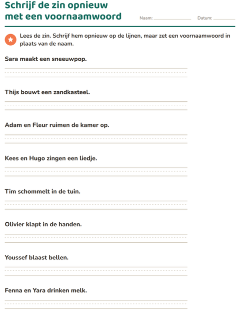 Voorbeeld van het Hij, zij of het-werkblad voor groep 4