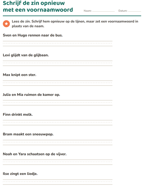 Voorbeeld van het Hij, zij of het-werkblad voor groep 4