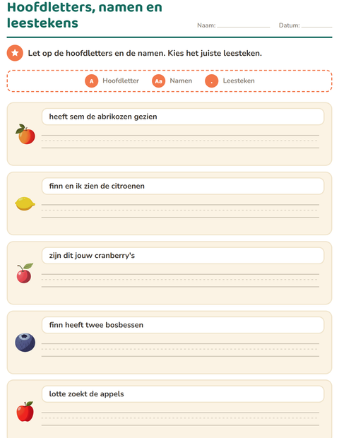 Voorbeeld van Hoofdletters, namen en leestekens: vijf zinnen goed overschrijven