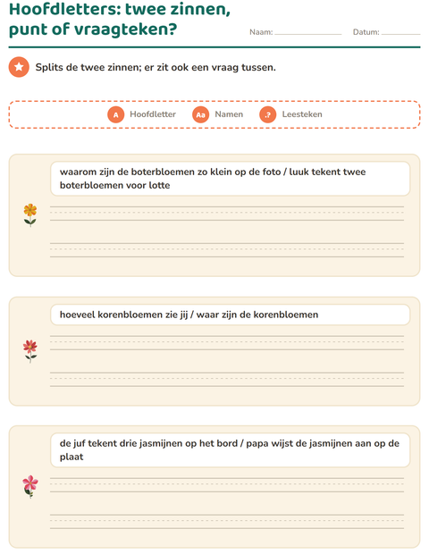 Voorbeeld van het Hoofdletters en leestekens-werkblad met Bloemen voor groep 4