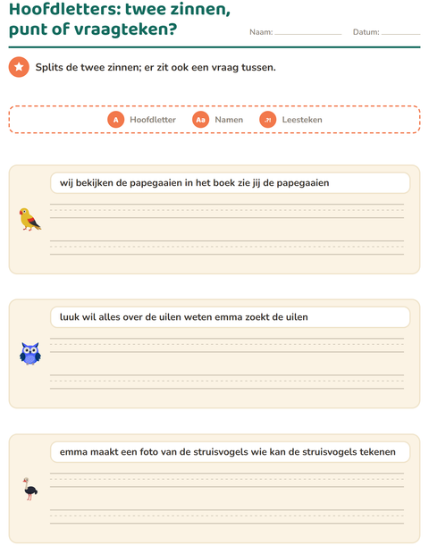 Voorbeeld van het Hoofdletters en leestekens-werkblad met Vogels voor groep 4