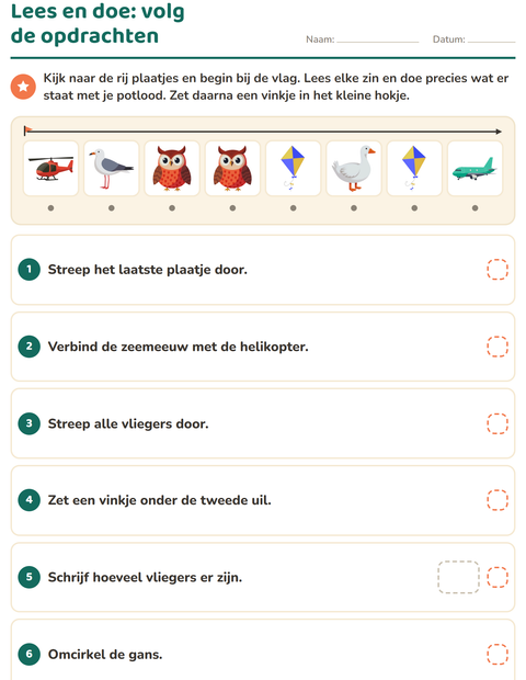 Voorbeeld van het Lees en doe-werkblad met Dingen die vliegen voor groep 3