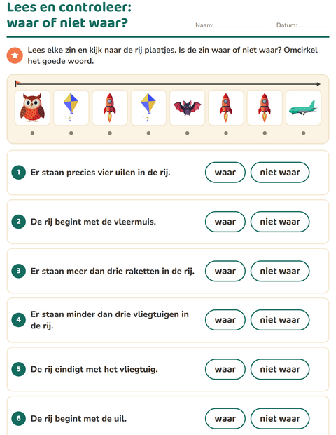 Voorbeeld van het Lees en doe-werkblad met Dingen die vliegen voor groep 3