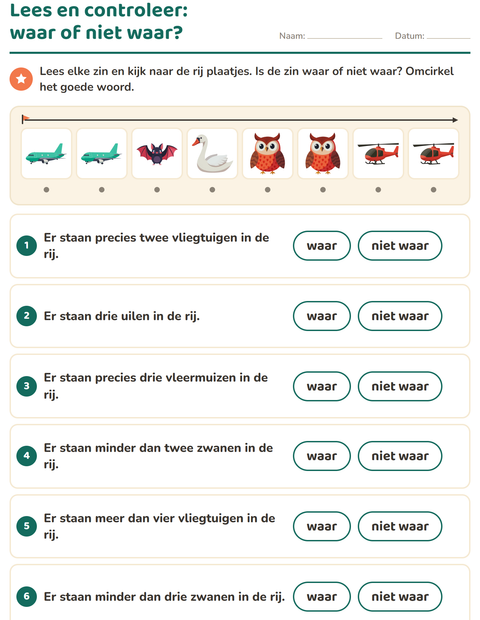 Voorbeeld van het Lees en doe-werkblad met Dingen die vliegen voor groep 3