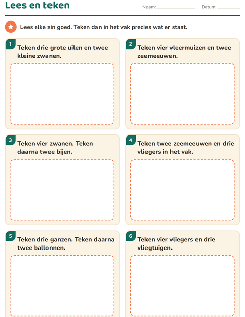 Voorbeeld van het Lees en doe-werkblad met Dingen die vliegen voor groep 3