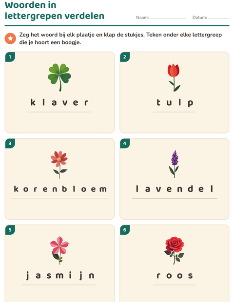 Voorbeeld van het Lettergrepen verdelen-werkblad met Bloemen voor groep 3