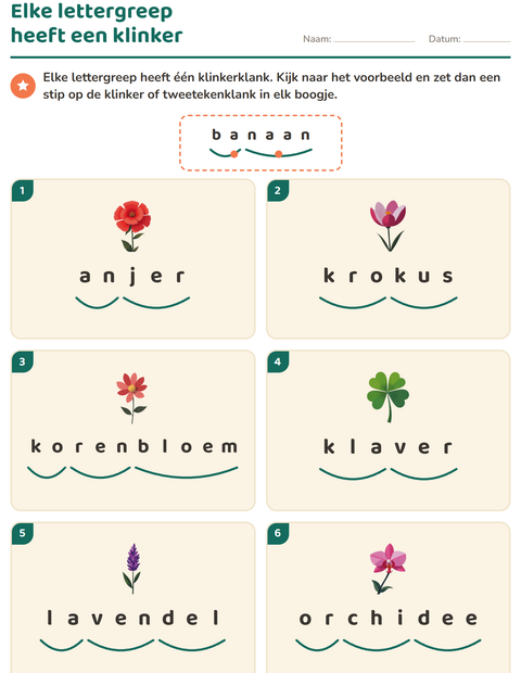 Voorbeeld van het Lettergrepen verdelen-werkblad met Bloemen voor groep 3