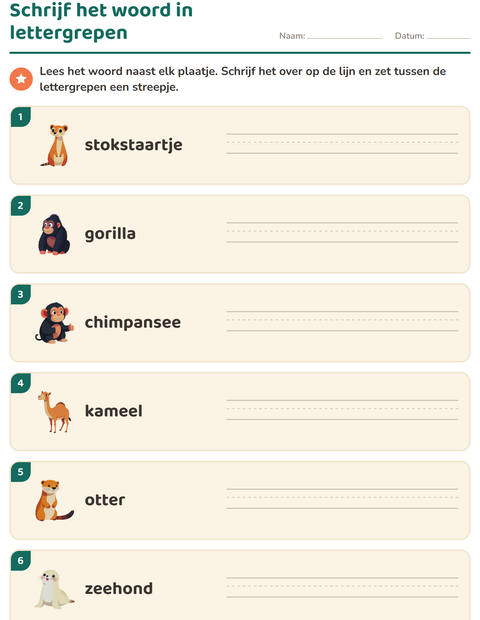 Schrijf het woord in lettergrepen: overschrijven met een streepje bij elke grens