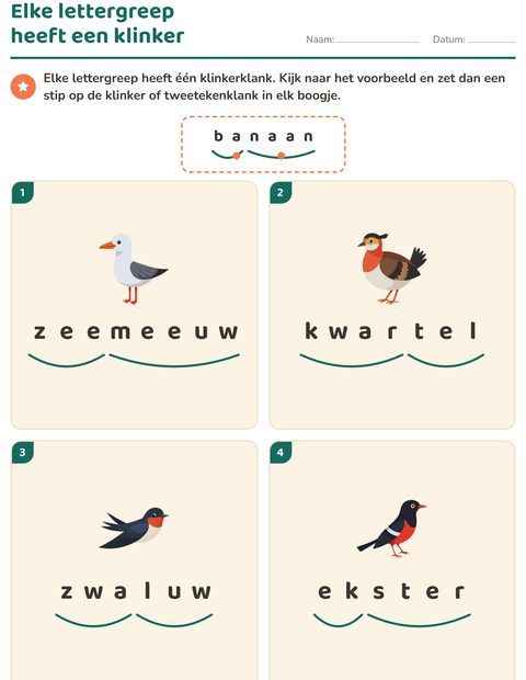 Voorbeeld van het Lettergrepen verdelen-werkblad met Vogels 2 voor groep 3
