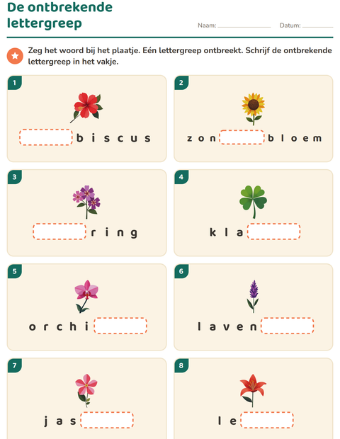 Voorbeeld van het Lettergrepen verdelen-werkblad met Bloemen voor groep 3