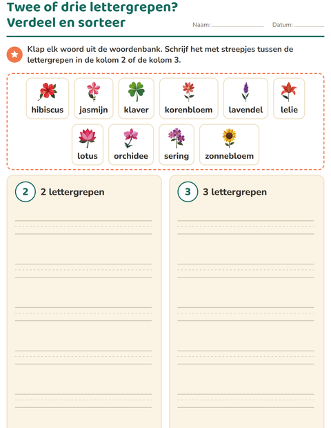 Voorbeeld van het Lettergrepen verdelen-werkblad met Bloemen voor groep 3