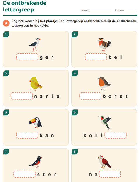 Voorbeeld van het Lettergrepen verdelen-werkblad met Vogels 2 voor groep 3