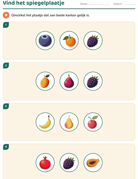 Voorbeeld van het Meetkunde-werkblad met Fruit voor groep 4