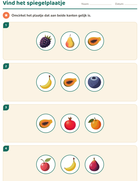 Voorbeeld van het Meetkunde-werkblad met Fruit voor groep 4