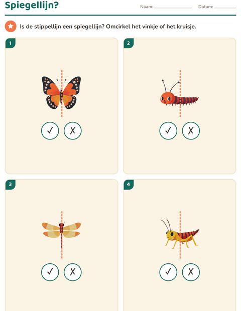 Voorbeeld van het Meetkunde-werkblad met Insecten en beestjes voor groep 4