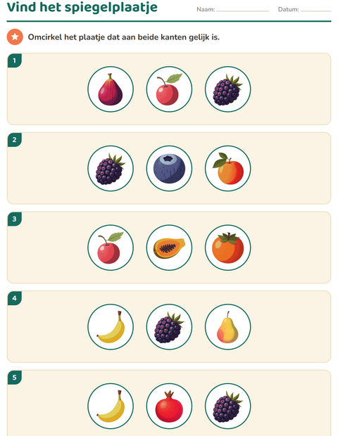 Voorbeeld van het Meetkunde-werkblad met Fruit voor groep 4