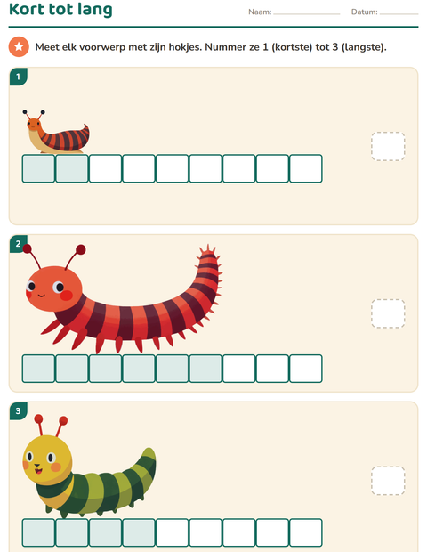 Voorbeeld van het Meten-werkblad met Insecten en beestjes voor groep 3