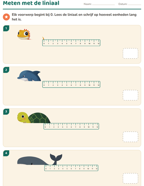 Voorbeeld van het Meten-werkblad met Dieren voor groep 4