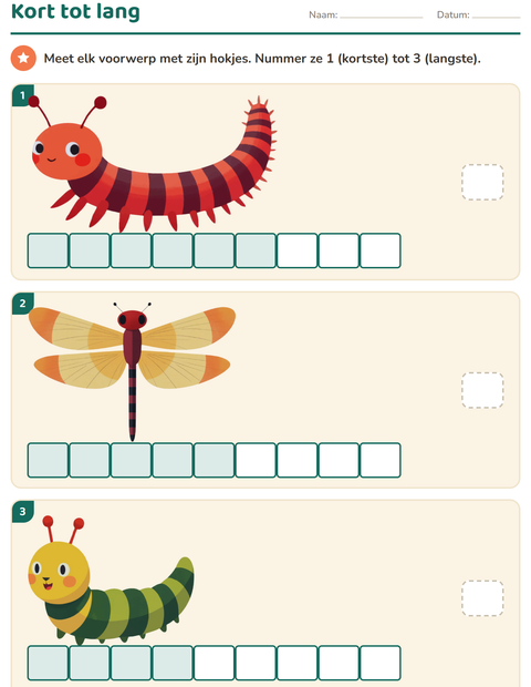 Voorbeeld van het Meten-werkblad met Insecten en beestjes voor groep 3