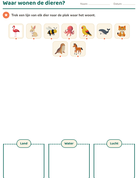 Voorbeeld van het Natuur sorteren-werkblad voor groep 3