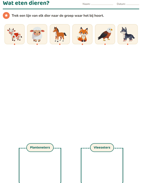 Voorbeeld van het Natuur sorteren-werkblad voor groep 3