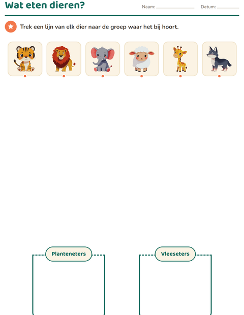 Voorbeeld van het Natuur sorteren-werkblad voor groep 3