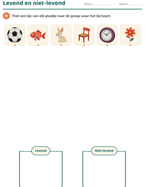 Voorbeeld van het Natuur sorteren-werkblad voor kleuterklas