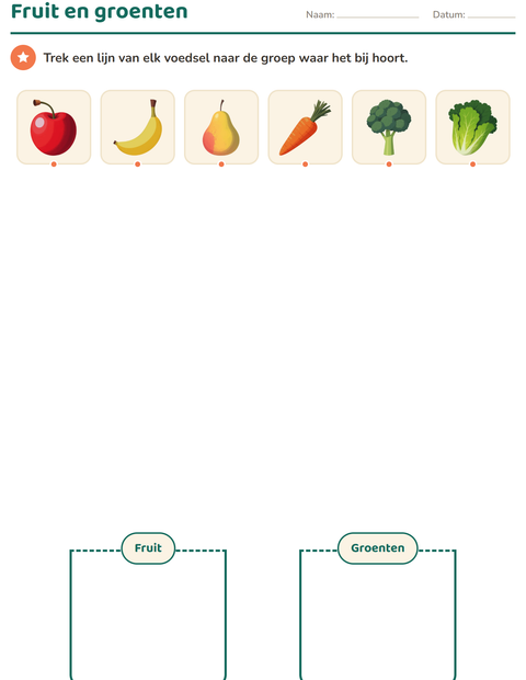 Voorbeeld van het Natuur sorteren-werkblad voor kleuterklas