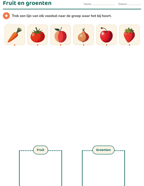 Voorbeeld van het Natuur sorteren-werkblad voor kleuterklas