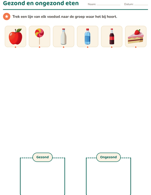 Voorbeeld van het Natuur sorteren-werkblad voor kleuterklas