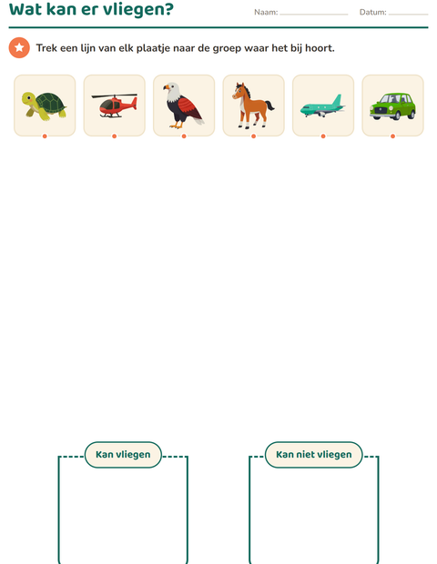 Voorbeeld van het Natuur sorteren-werkblad voor kleuterklas