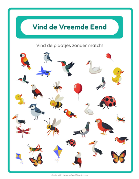 Welke hoort er niet bij – Dingen die vliegen